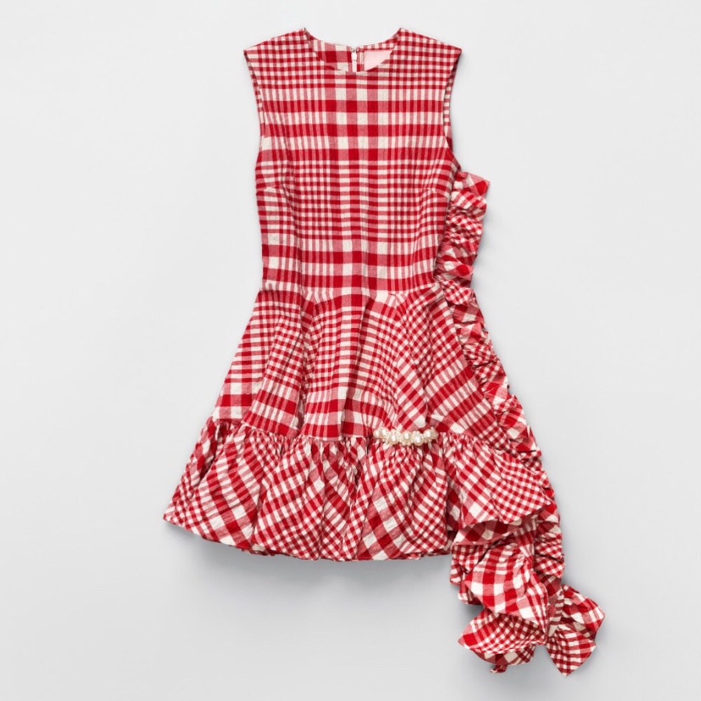 NWT Simone Rocha H&M Red Plaid Dress size S
